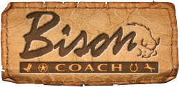 Bison